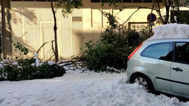 Madrid Street Full Snow Road Cover Snow Top Cars Too — Vídeo de Stock