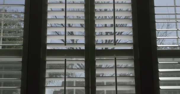 Looking Out Window Custom Plantation Shutters — Stok video