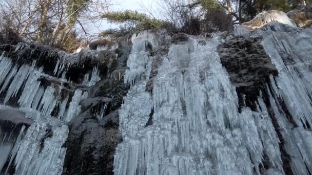 Chunks Icicle Hanging Stone Wall Water Drops Jungle Sky Top — Video