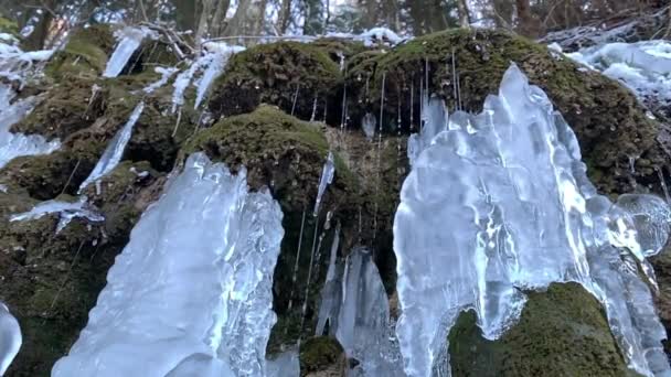 Blocks Icicles Water Drips Stone Wall Green Algae Grass Formation — Wideo stockowe