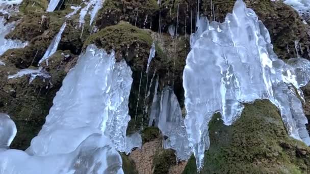 Iced Water Formation Stone Wall Water Drops Side Green Algae — Videoclip de stoc