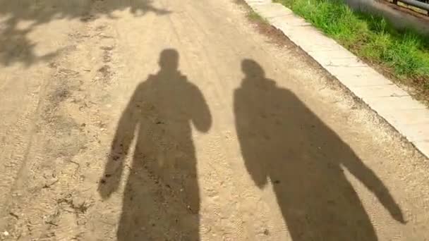 Shadow Couple Walking Footpath Made Sand Surrounded Grass Park Sunny — Stockvideo