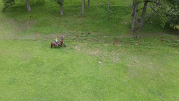Drone Flight Child Riding Horse Green Meadow — Vídeos de Stock