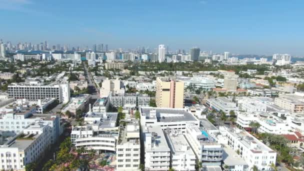 Skyline Neighborhood South Beach Sobe Downtown Miami Florida Aerial Left — ストック動画