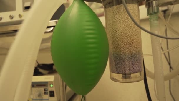 Green Rubber Anesthetic Machine Reservioir Bag Manual Ventilation Patients Coronavirus — Vídeo de Stock
