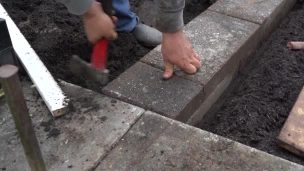 Bricklayer Tapping Bricks Place Finish Garden Flower Bed Wall — Stock Video