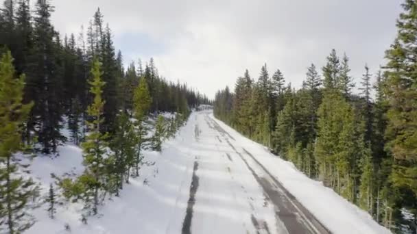 Low Aerial Reveal Backward Sunny Snow Covered Back Roads Colorado — Stockvideo