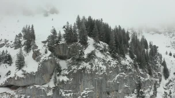 Flying Pine Trees Top Mountain Revealing Small Cabin Stunning Snow — Wideo stockowe