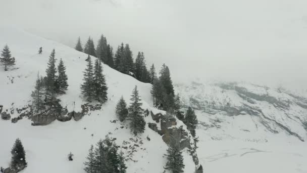 Aerial Dolly Pine Trees Edge Mountain Overlooking Snow White Valley — Wideo stockowe