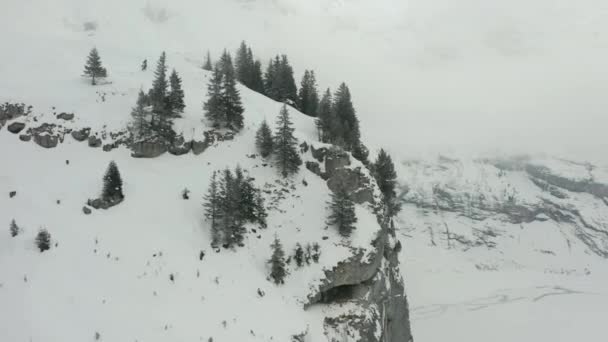 Aerial Pine Trees Edge Mountain Overlooking Snow White Valley — Stock video