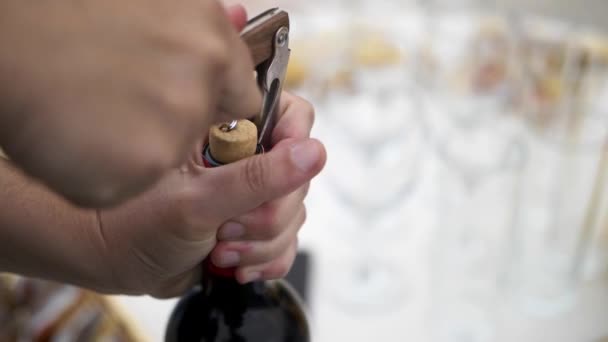 Caucasian Hand Opening Bottle Red Wine Bottle Opener Real Cork — 비디오