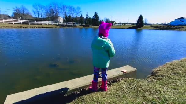 Girl Throwing Bread Pond Ducks — Stockvideo