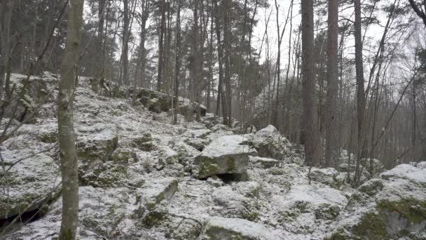 Static Shot Forest Its Snowing Hill — Video