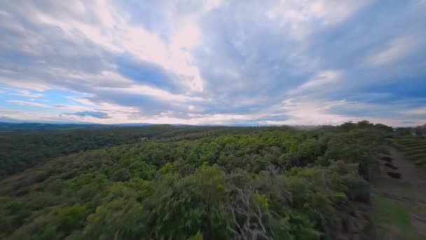 Aerial View Lush Forest Italy Tuscany Land — Stockvideo