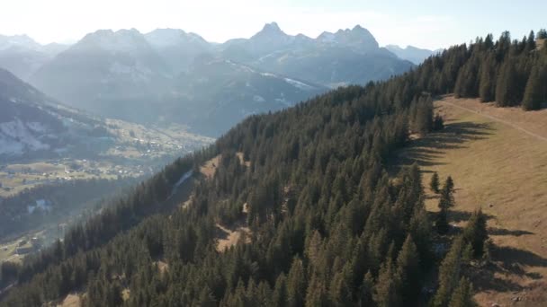 Aerial Forest Mountain Slope — Vídeo de stock
