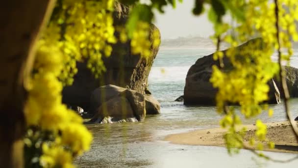 Idyllic Beach Hang Rai Vietnam Rock Coast Yellow Golden Shower — Vídeo de Stock