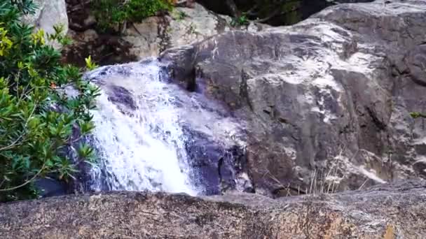 Torrent Rapid Rough Rocks Pristine Mountain Waterfall Vietnam Jungle — Vídeos de Stock