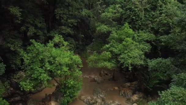 Brown Water Flowing Rocky Stream Amidst Dense Lush Green Rainforest — Stock video