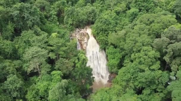 Waterfall Rainy Season Middle Pristine Lush Green Jungle Rainforest — Stockvideo