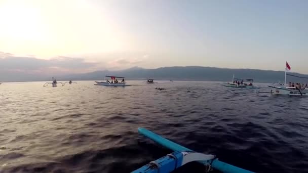 Lovina Beach Bali Fishing Boats Dolphins — Stock video