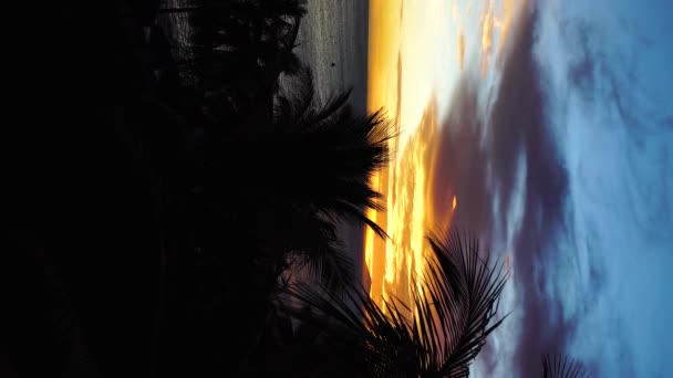 Palm Trees Sway Sea Breeze Spectacular Sunset Tropical Beach Mui — Video