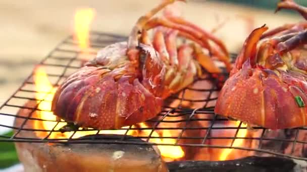 Lobster Halves Grate Grilled Open Fire Small Charcoal Stove Close — Stok video