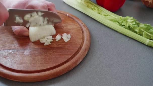 Slow Motion Chopping Onion Tiny Cubes — Videoclip de stoc