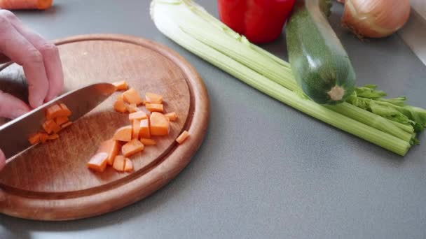 Slow Motion Cutting Carrot Small Cubes — Vídeo de stock