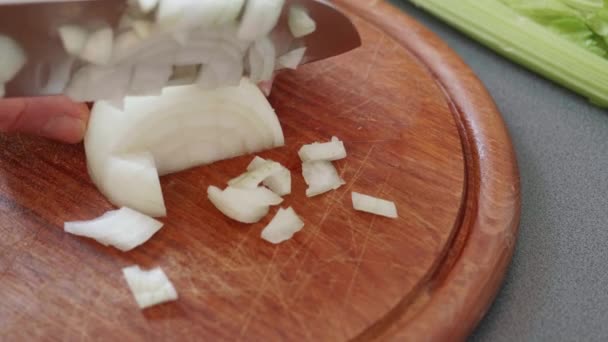 Close Slow Motion Chopping Onion Tiny Cubes — Videoclip de stoc