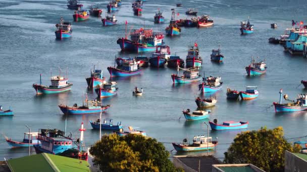 Traditional Blue Fishing Boats Harbor Vinh Bay Vietnam — Stock video