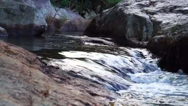 Pristine Scenery Silky Shining Stream Calmly Flowing Rocky Banks — Stockvideo