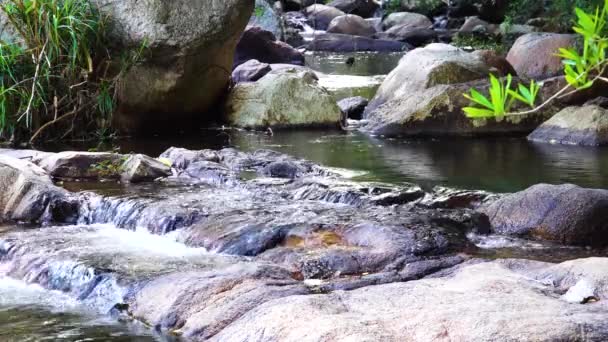 Crystal Clear Shimmering Water Flowing Rough Rocky Stream Bed Close — Vídeo de Stock