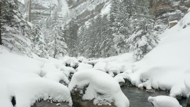 Jib Calm Creek Snow Covered Landscape — Stock Video