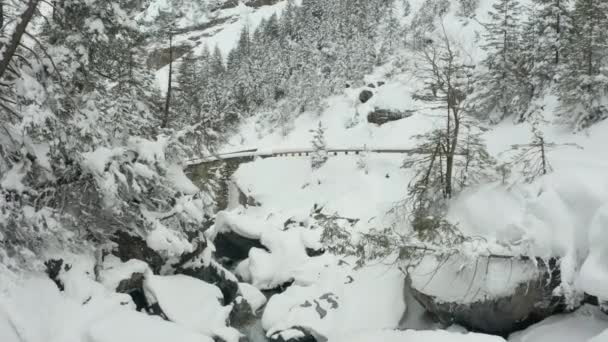 Moving Small Stream Revealing Stone Bridge Snow Covered Landscape — Stok video