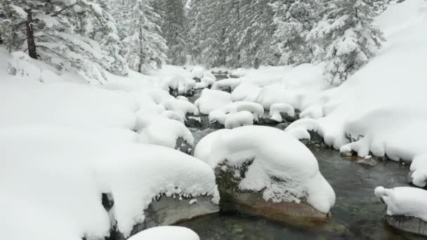 Jib Calm Creek Revealing Snow Covered Landscape — Video