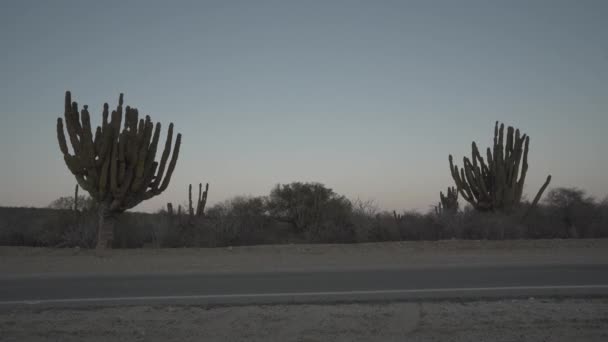 Lateral View White Car Passing Fast Motion Blur Desert Rad — Stockvideo