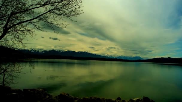 Wide Shot Lake Alps Tree — Vídeos de Stock