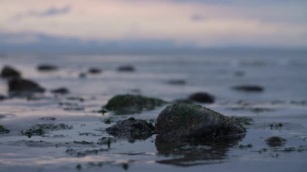 Closeup Stones Beach Olympic Mountains Backdrop — Vídeo de stock