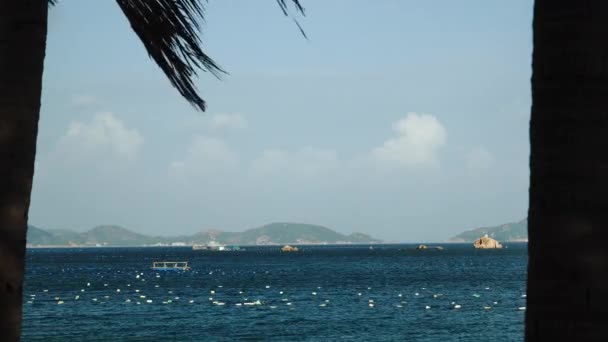 Beautiful Ocean Landscape Blue Water Mountains Background Palm Tree Silhouette — Vídeos de Stock