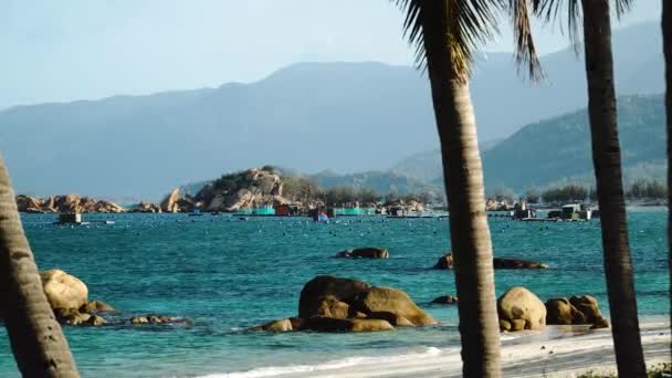 Vibrant Landscape Shot Blue Ocean Sandy Beach Palm Trees Hills — Vídeos de Stock