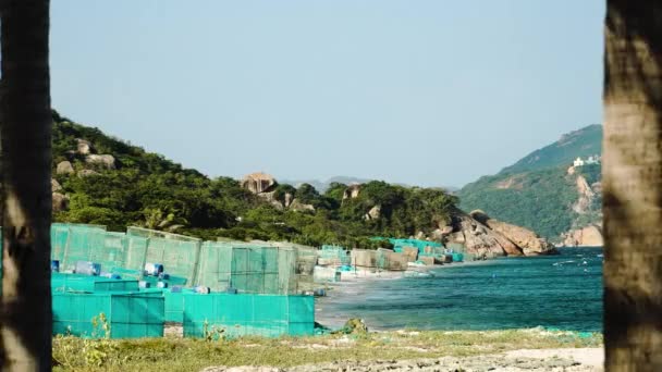Wide Shot Showing Lobster Shrimp Farm Sandy Beach Vietnam Sunny — Stock video