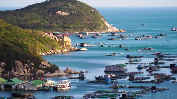 Industrial Fish Growing Coastal Cages Mariculture Vinh Vietnam — Stok video