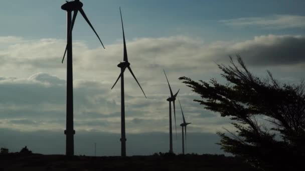 Silhouetten Von Windrädern Zur Stromerzeugung Mui Dinh Vietnam Niedriger Winkel — Stockvideo