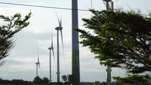 Wind Farm Mui Dinh Vietnam Wind Turbines Generating Renewable Energy — Stock Video