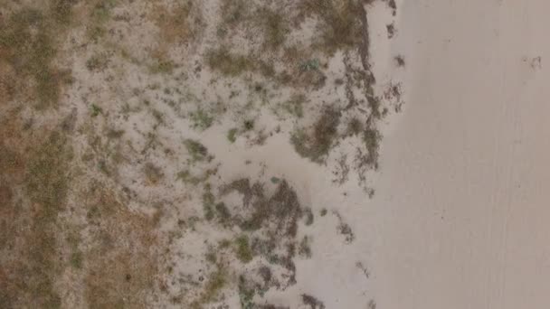 Aerial View Coast Scenery White Fine Sands Vegetation One Side — Vídeos de Stock