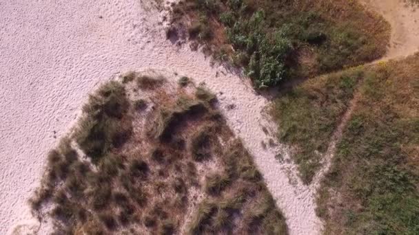 Aerial View Coast Scenery White Fine Sands Vegetation Sand Goes — Stok video