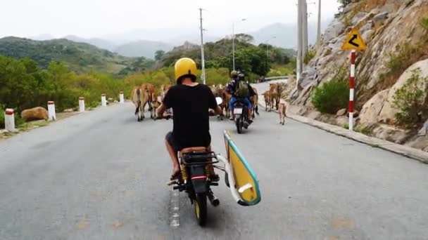 Young Man Drives Motorcycle Cows Vietnamese Dirt Track Yellow Surf — ストック動画