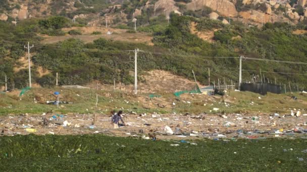 Local Vietnamese Scavenging Sea Coast Littered Waste Beach Pollution Son — Stok Video