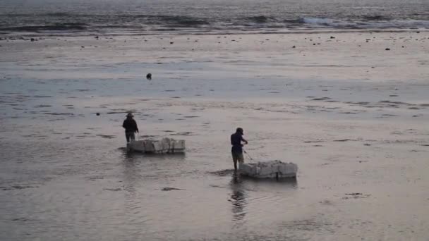 Two Vietnamese Locals Pulling Boxes Shore Picking Seaweed Sea Dusk — Vídeo de Stock
