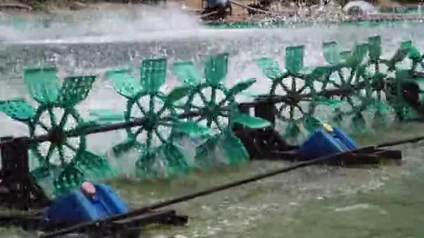 Paddle Wheel Working Spinning Shrimp Farm Aquaculture Son Hai Vietnam — 비디오